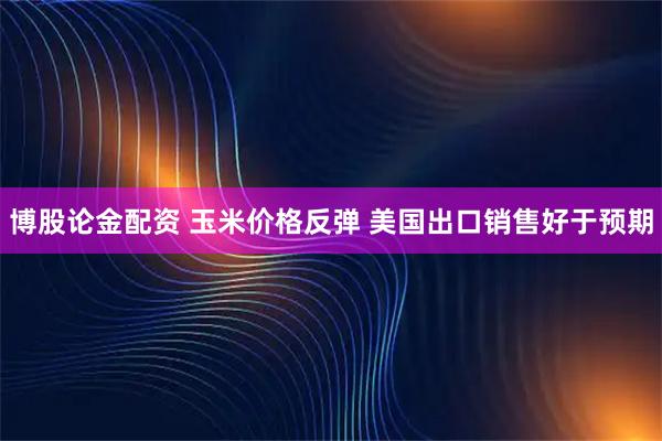 博股论金配资 玉米价格反弹 美国出口销售好于预期