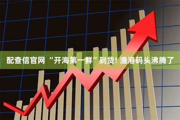 配查信官网 “开海第一鲜”到货! 渔港码头沸腾了