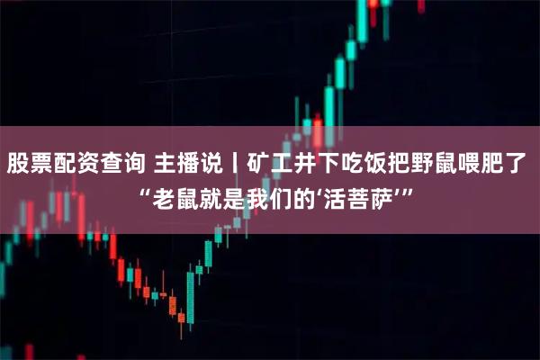 股票配资查询 主播说丨矿工井下吃饭把野鼠喂肥了  “老鼠就是我们的‘活菩萨’”